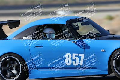 media/Oct-24-2025-Doghouse Garage (Fri) [[783d2ff07a]]/1-Advanced/Session 2 Turn 5 Tree of Life/